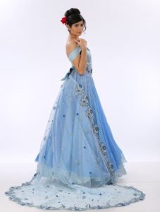 Disney Princess collection amalgamated with Madhubani Art - Mithi Kalra 4